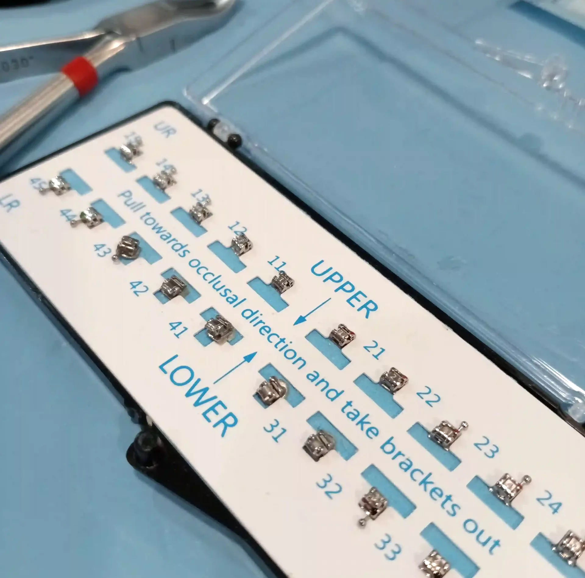 Caja donde se organizan los brackets metálicos Caja Organizadora de Brackets para ortodoncia